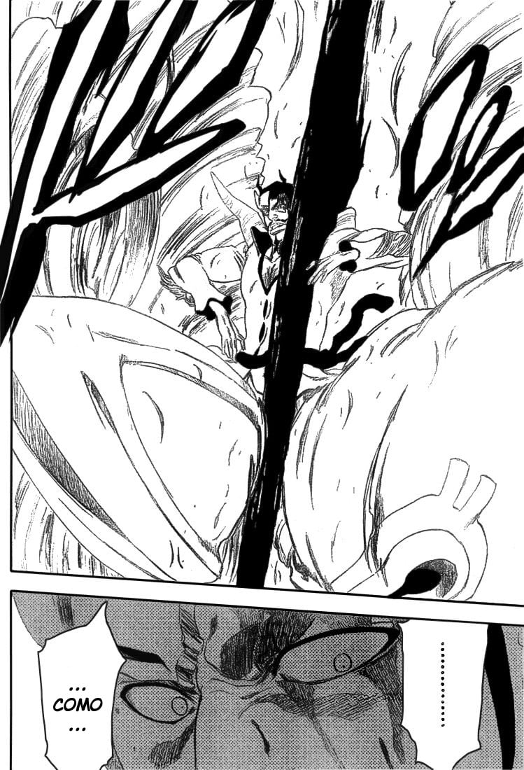 Bleach Capítulo 253 Página 16