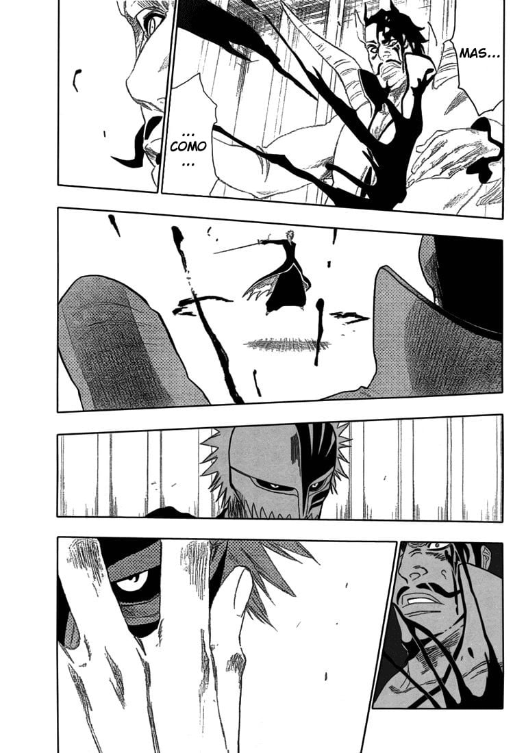 Bleach Capítulo 253 Página 17