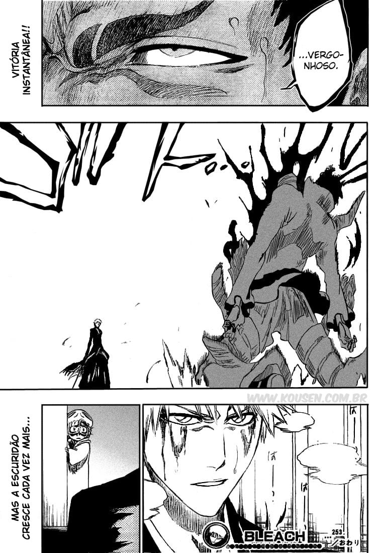 Bleach Capítulo 253 Página 19