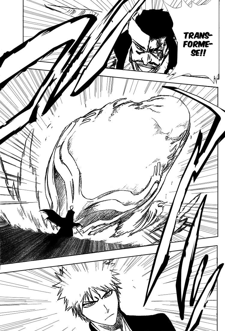 Bleach Capítulo 253 Página 5