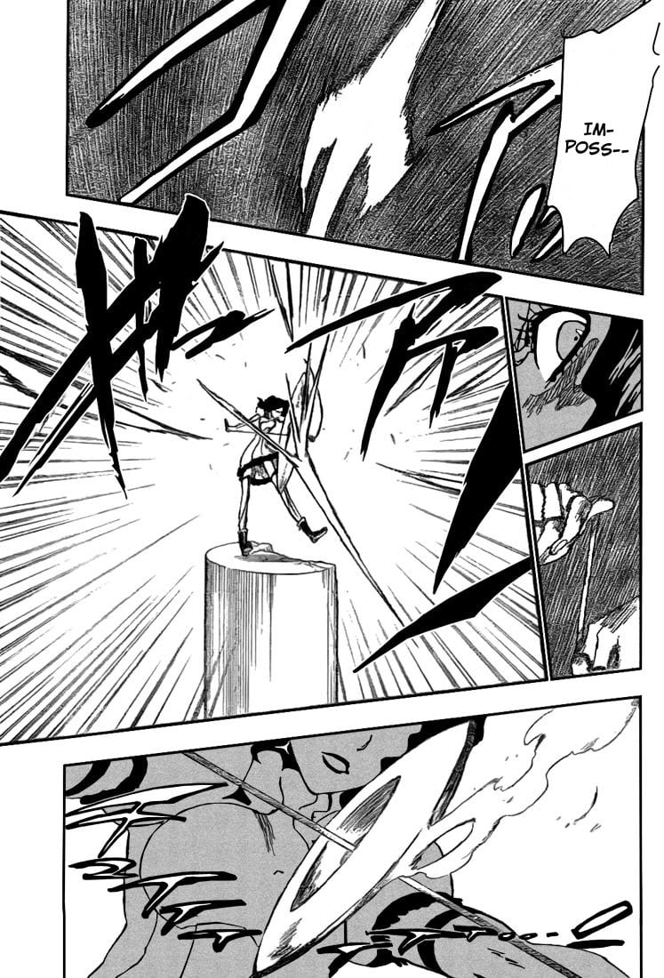Bleach Capítulo 255 Página 13