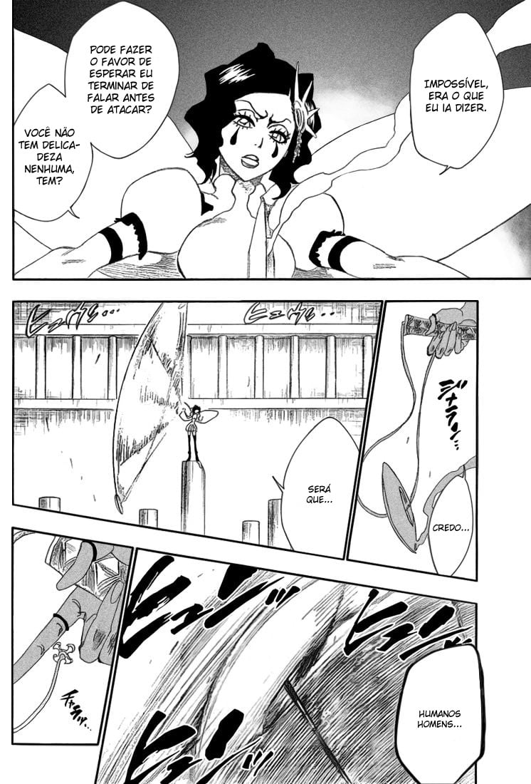 Bleach Capítulo 255 Página 14