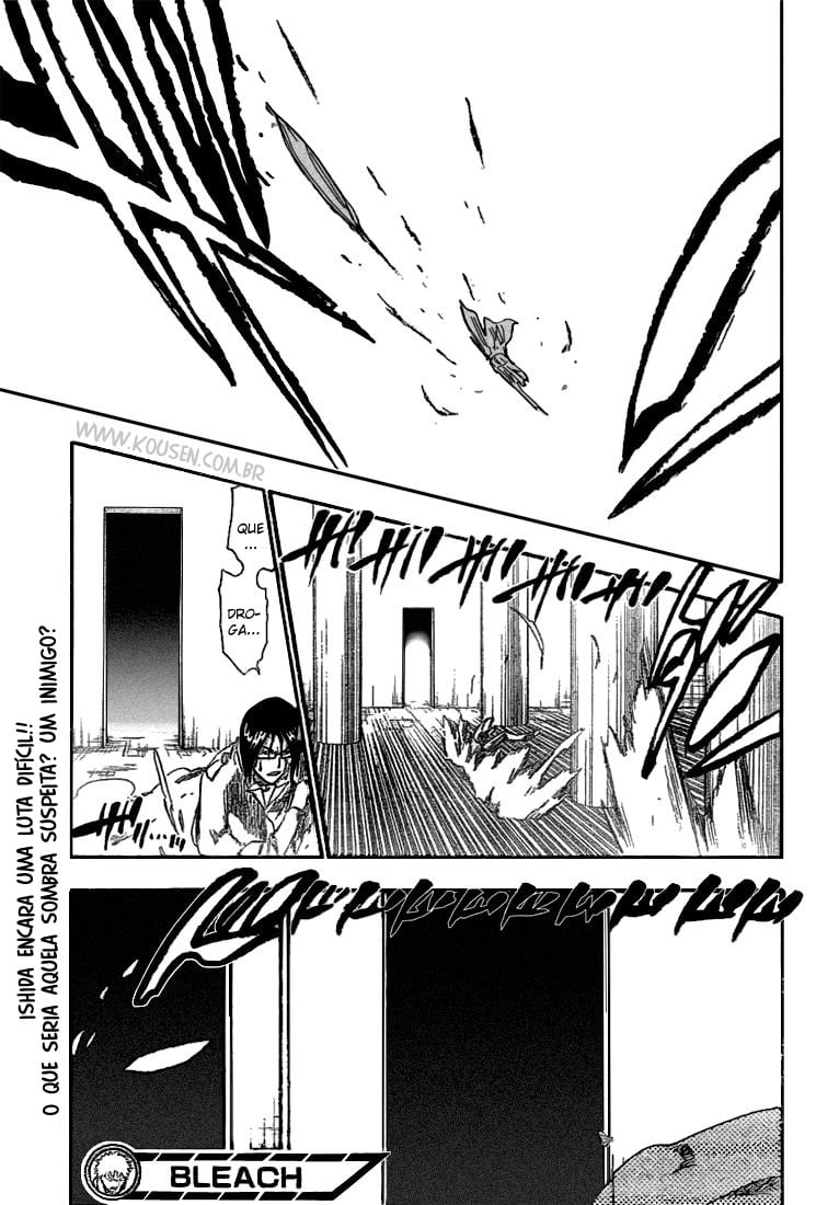 Bleach Capítulo 255 Página 17
