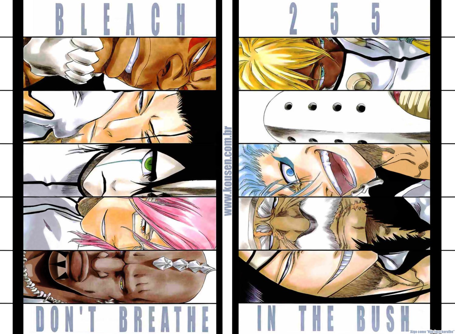 Bleach Capítulo 255 Página 2