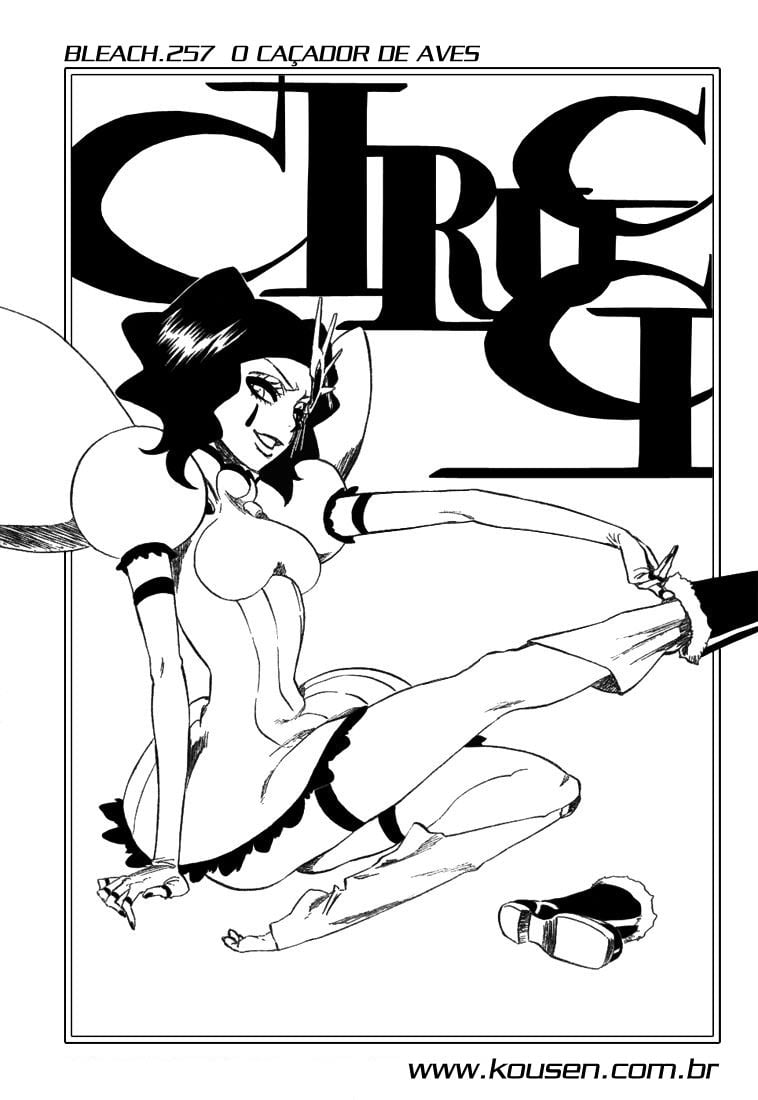 Bleach Capítulo 257 Página 3