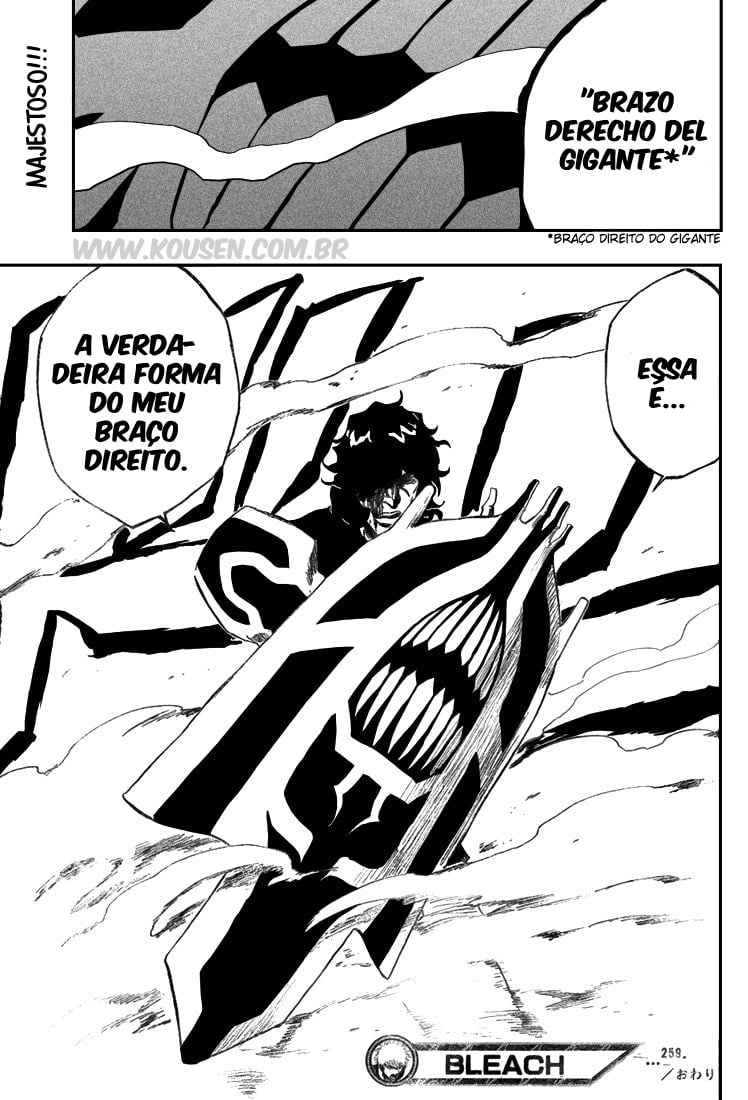 Bleach Capítulo 259 Página 19