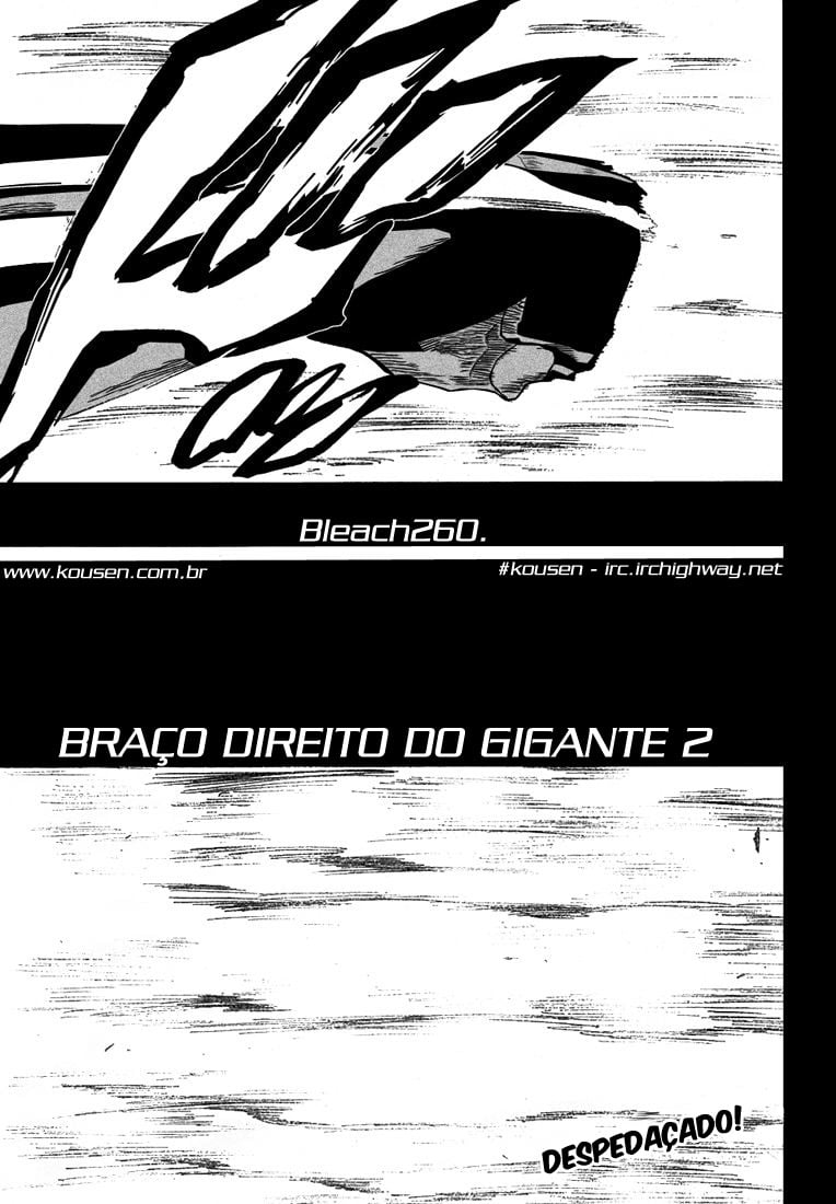 Bleach Capítulo 260 Página 5