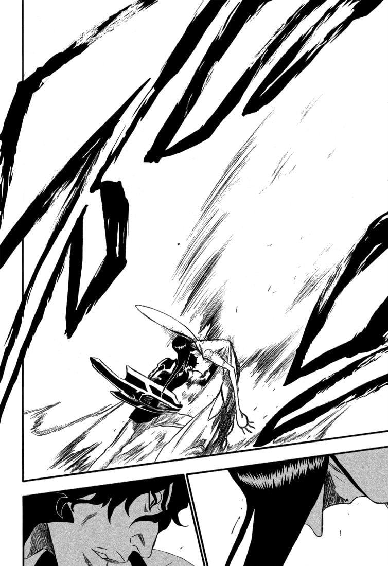Bleach Capítulo 261 Página 18