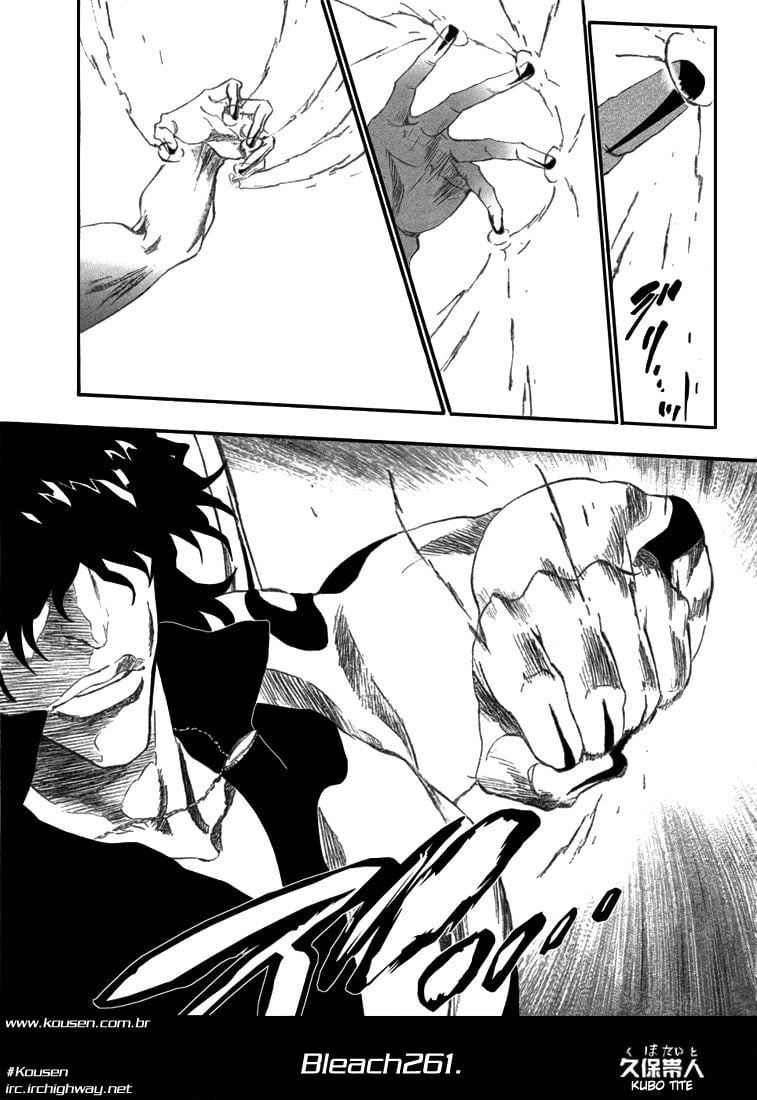 Bleach Capítulo 261 Página 9