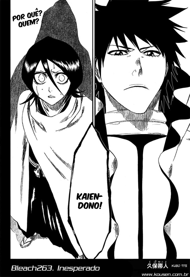 Bleach Capítulo 263 Página 2