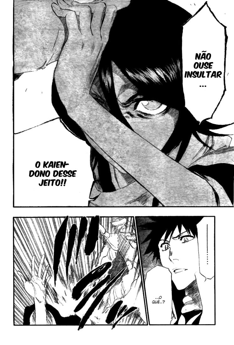 Bleach Capítulo 264 Página 14