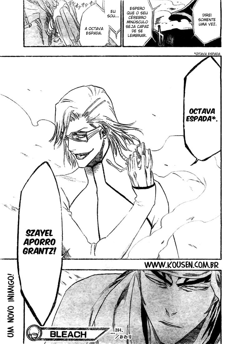 Bleach Capítulo 264 Página 21