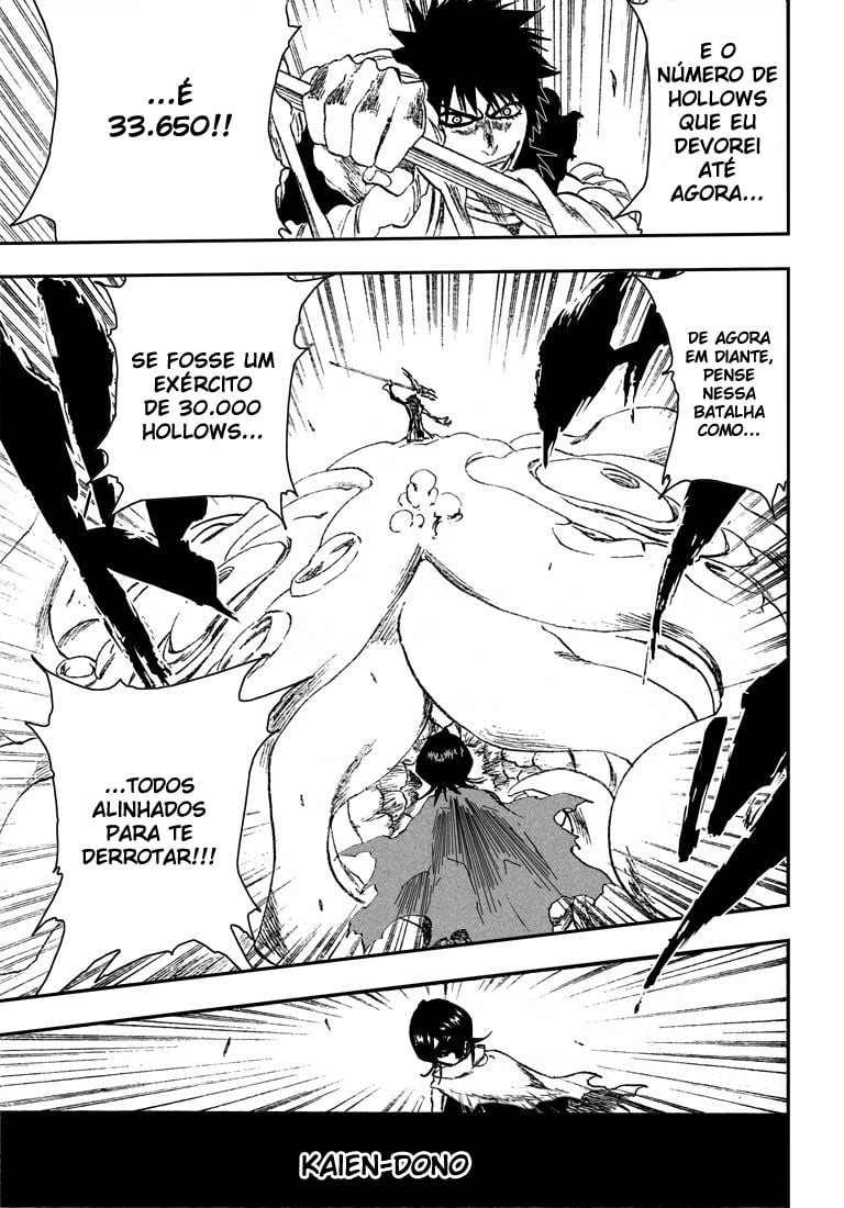 Bleach Capítulo 267 Página 14