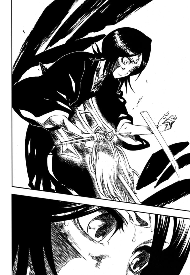 Bleach Capítulo 267 Página 17