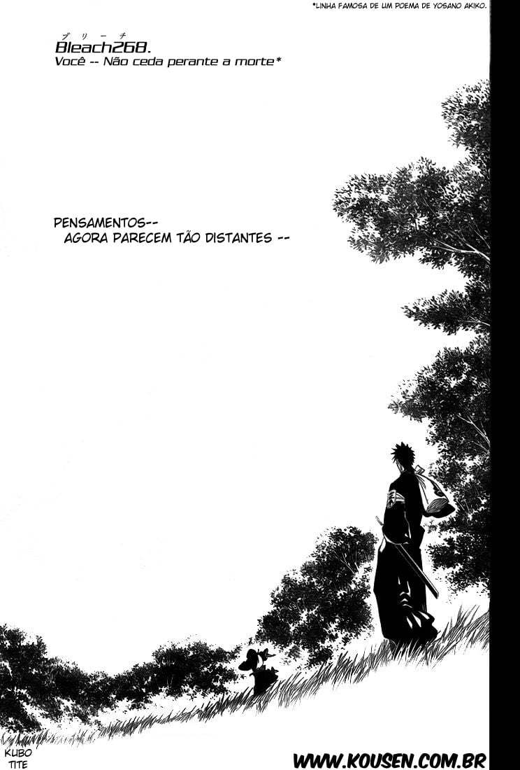 Bleach Capítulo 268 Página 5