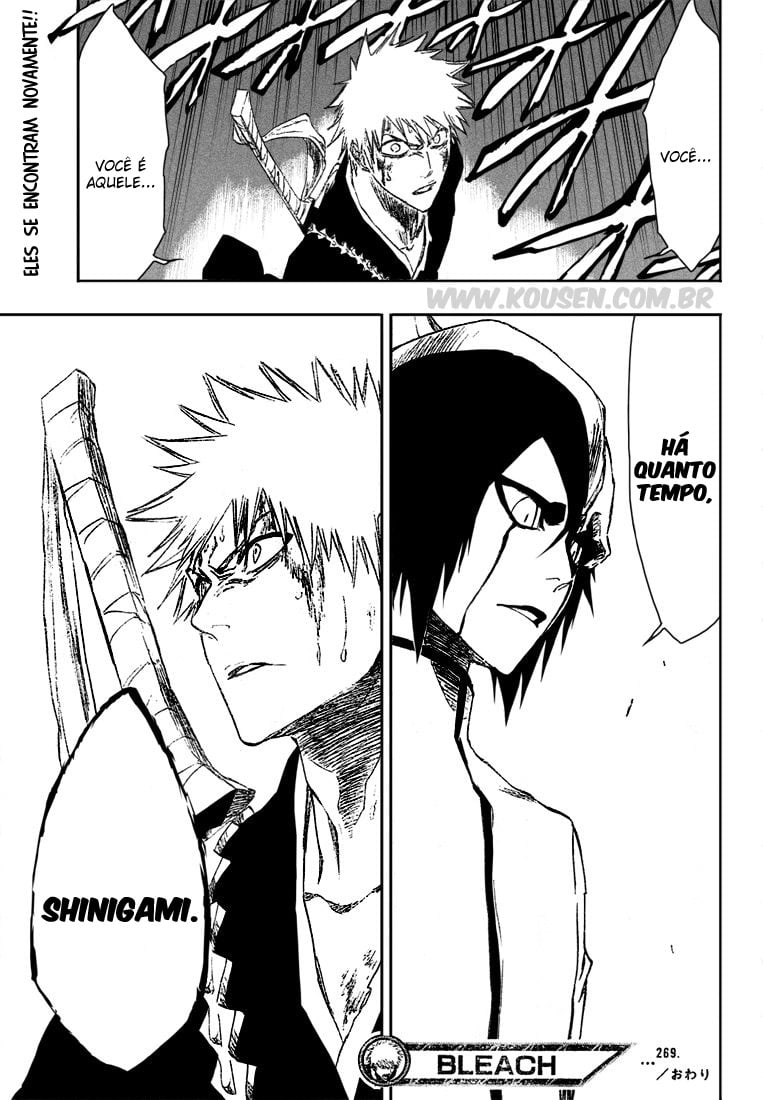 Bleach Capítulo 269 Página 19