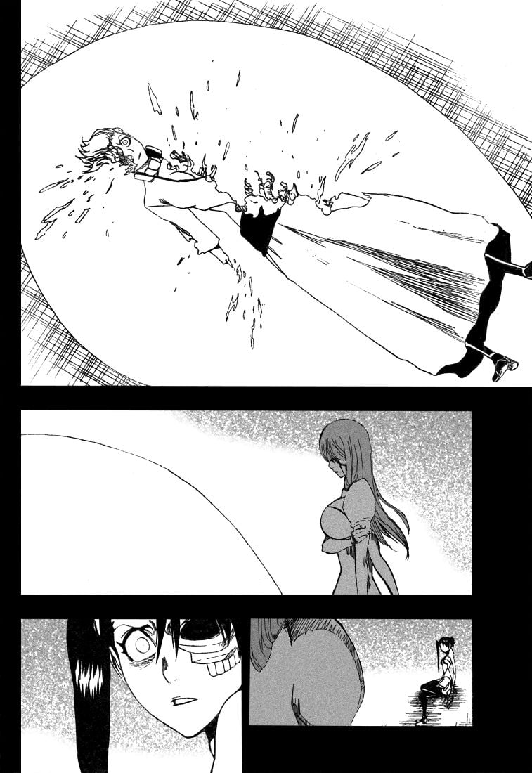 Bleach Capítulo 274 Página 12