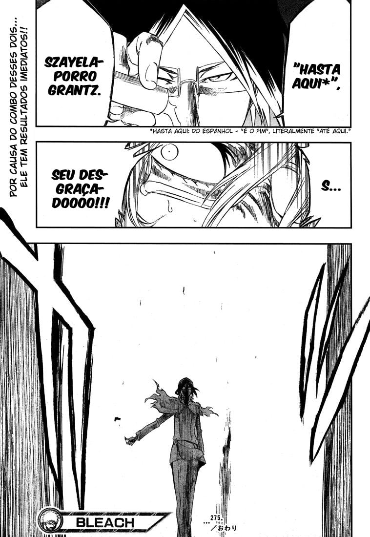 Bleach Capítulo 275 Página 19