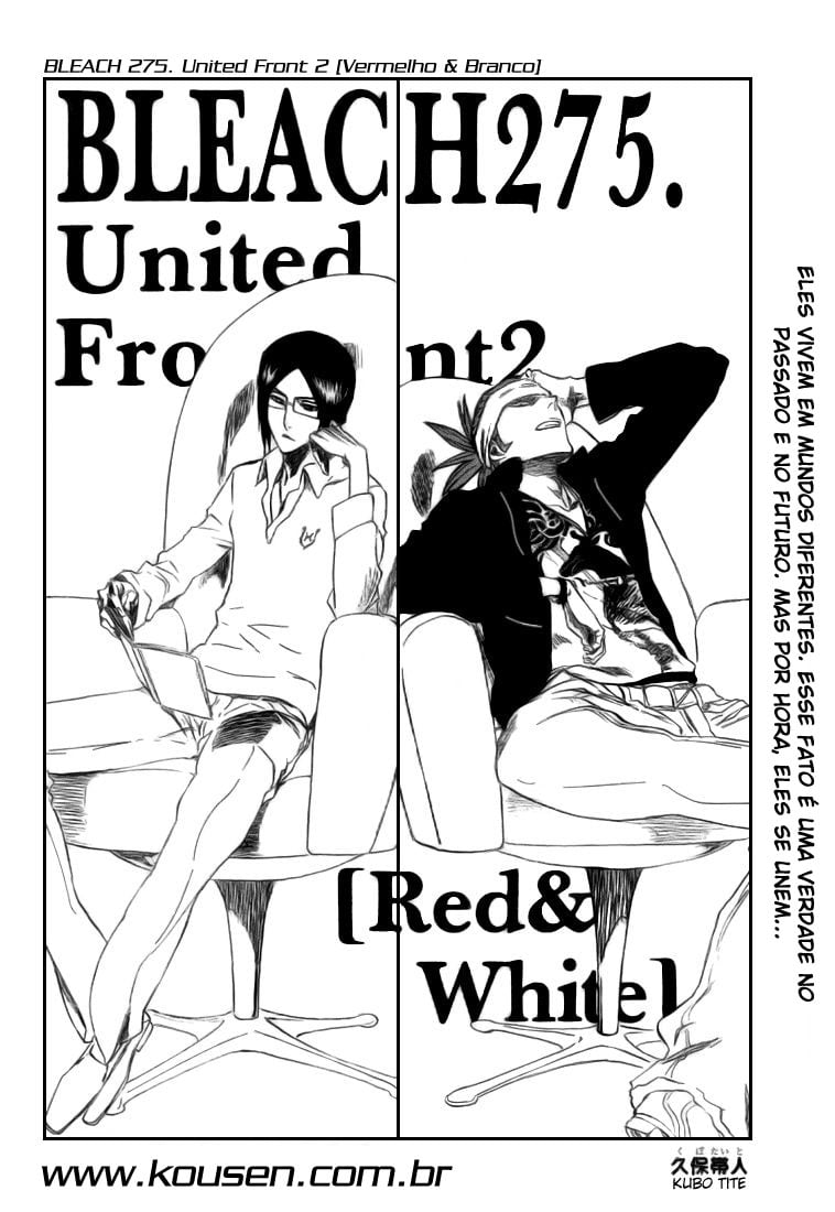 Bleach Capítulo 275 Página 4