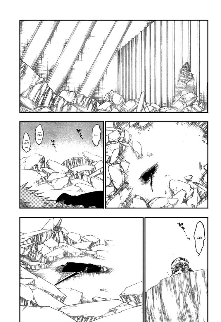 Bleach Capítulo 276 Página 15