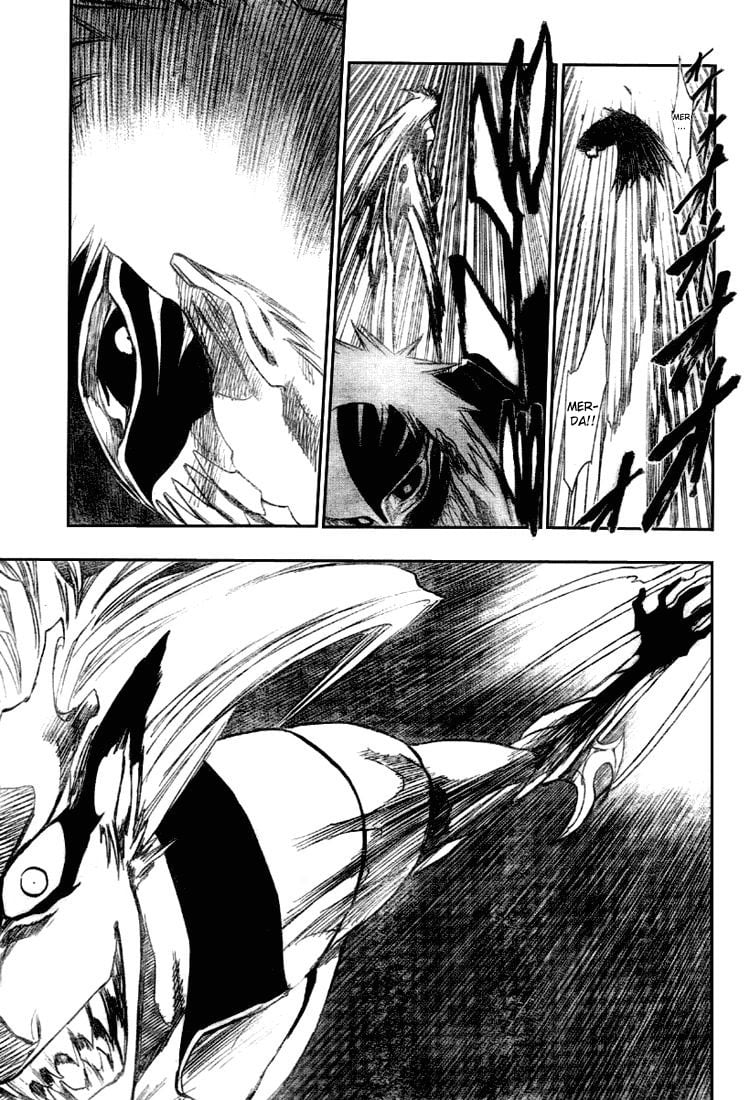 Bleach Capítulo 281 Página 14