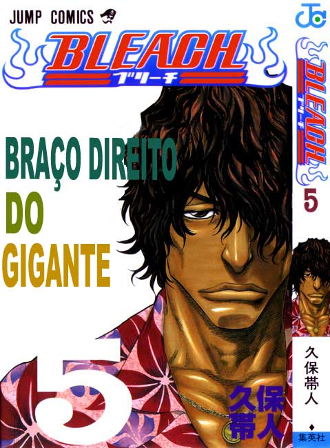 Bleach Capítulo 35 Página 1