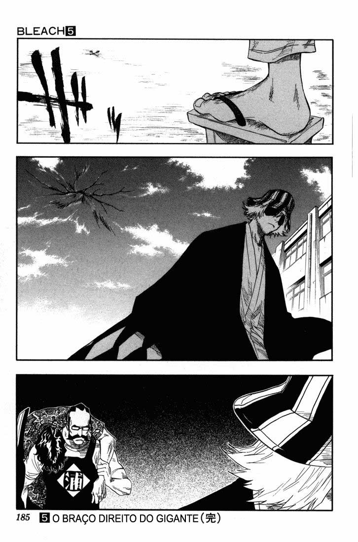 Bleach Capítulo 43 Página 19