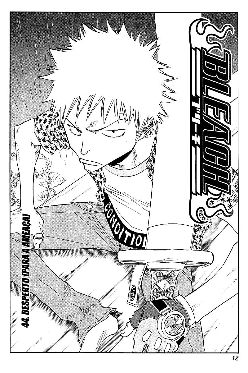 Bleach Capítulo 44 Página 11