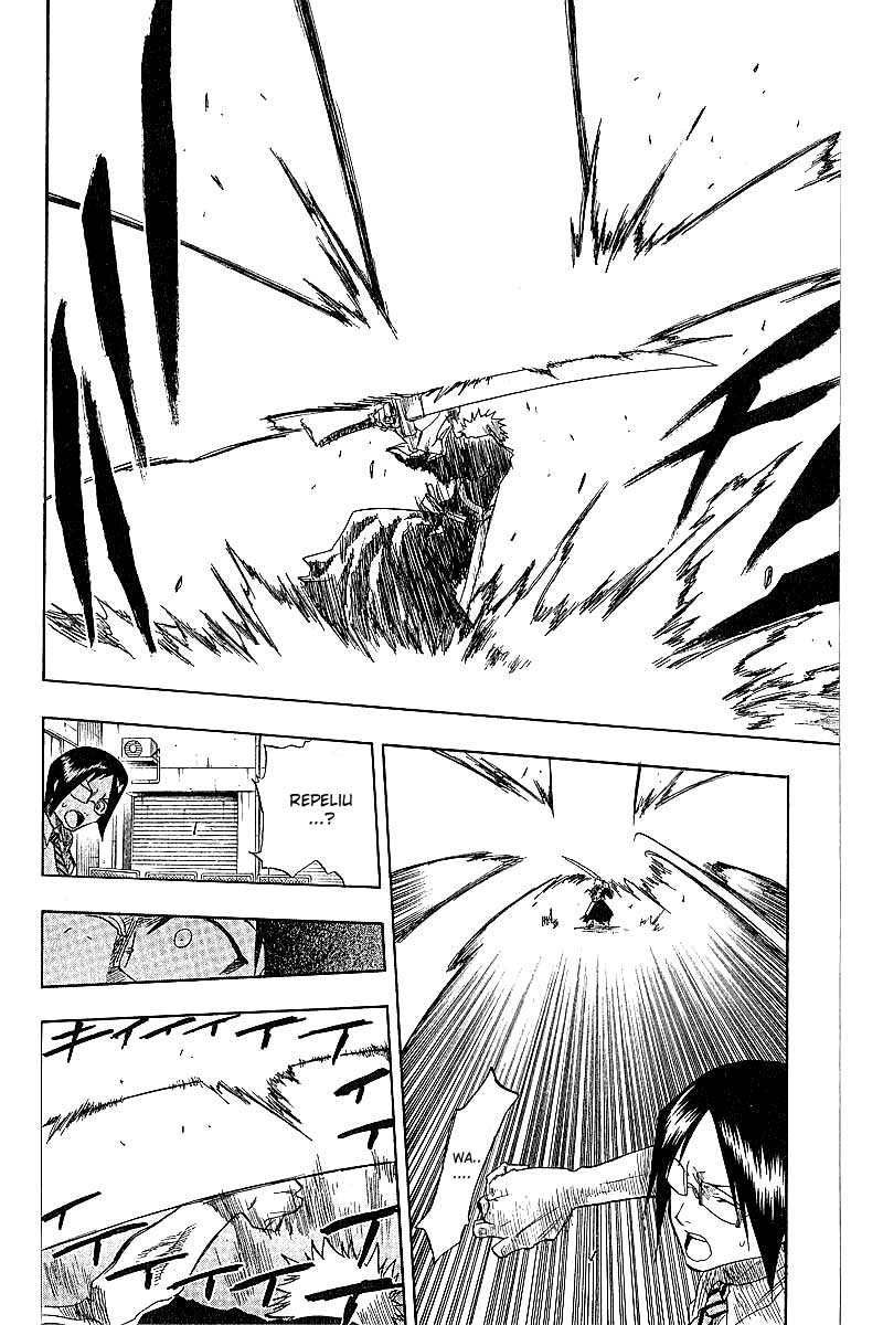 Bleach Capítulo 49 Página 14