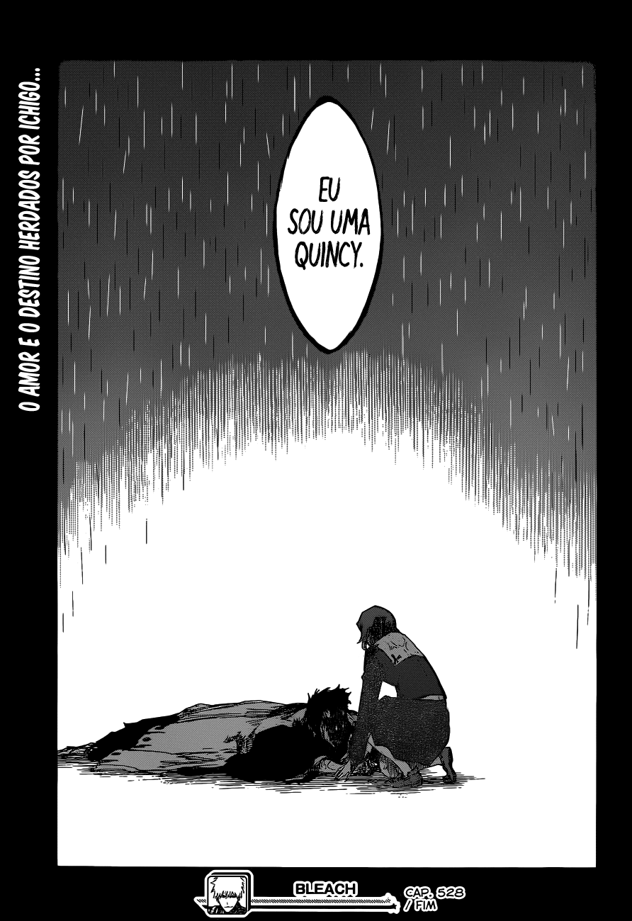 Bleach Capítulo 528 Página 18