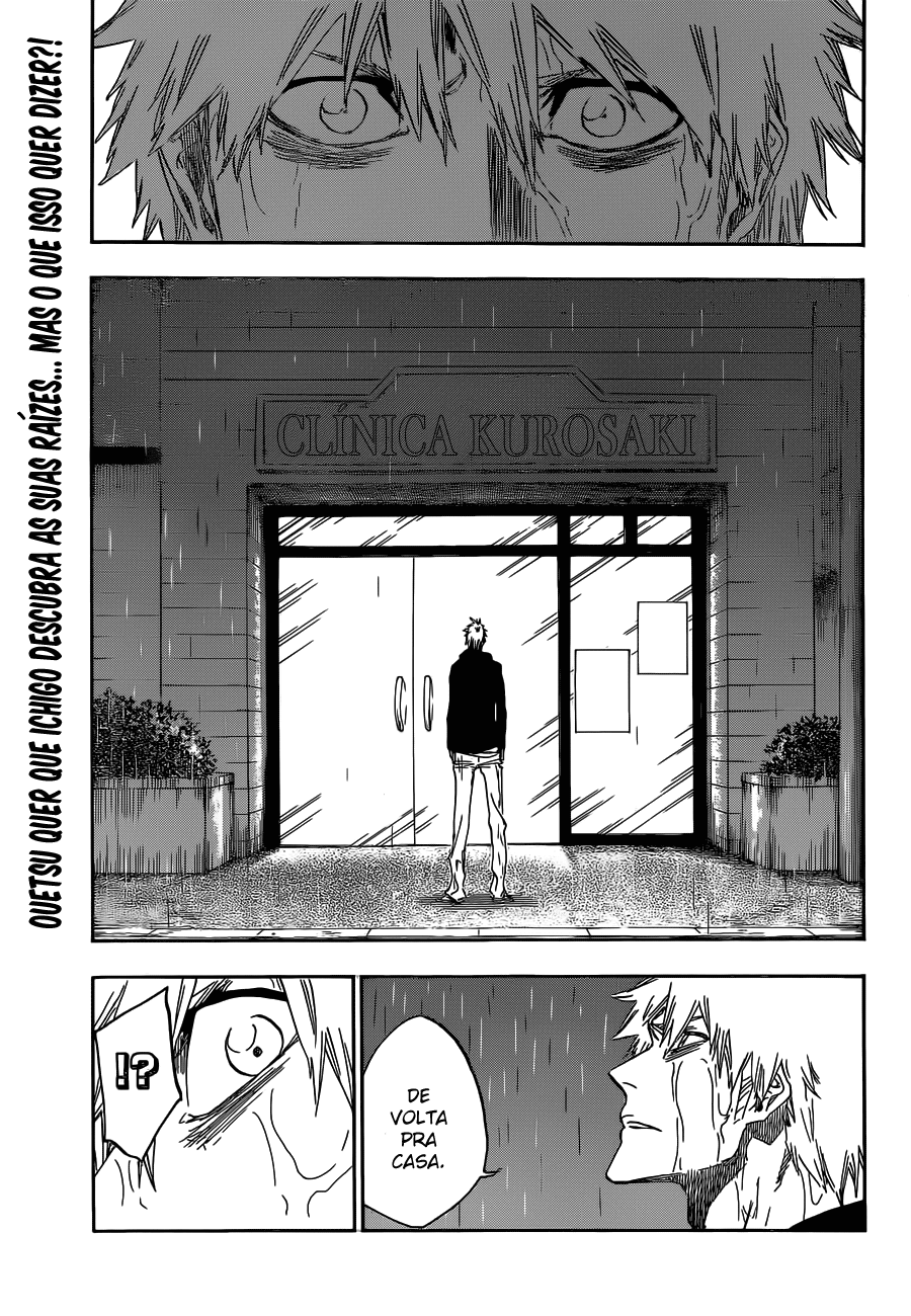 Bleach Capítulo 528 Página 2