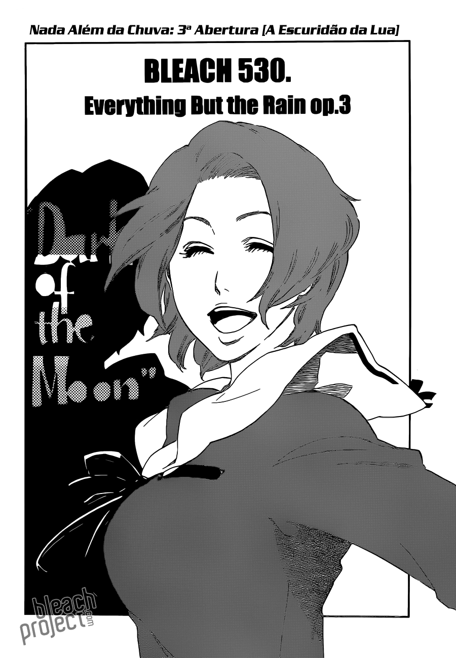 Bleach Capítulo 530 Página 5