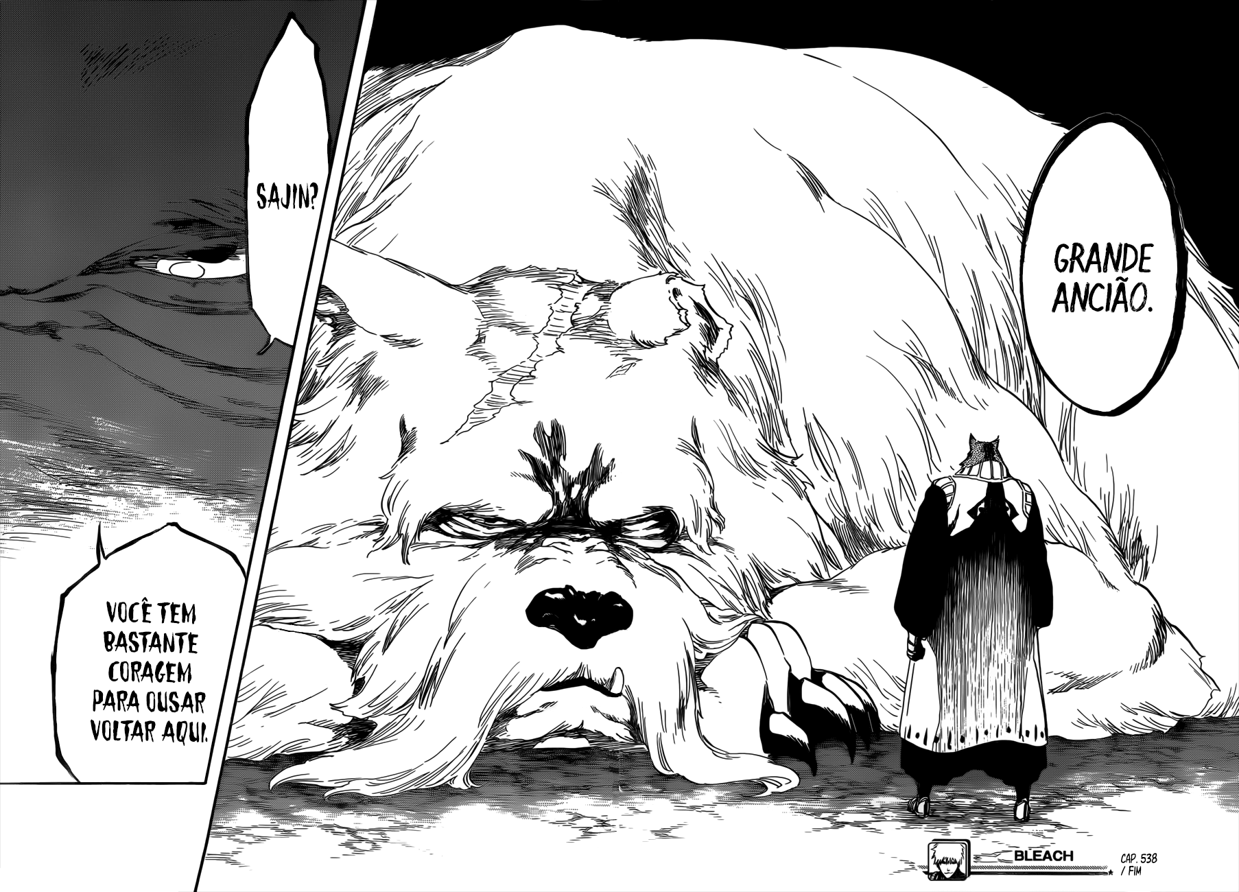 Bleach Capítulo 538 Página 17