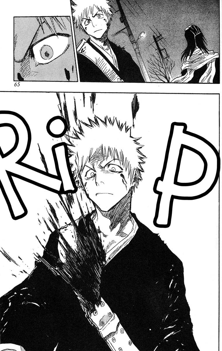 Bleach Capítulo 55 Página 19