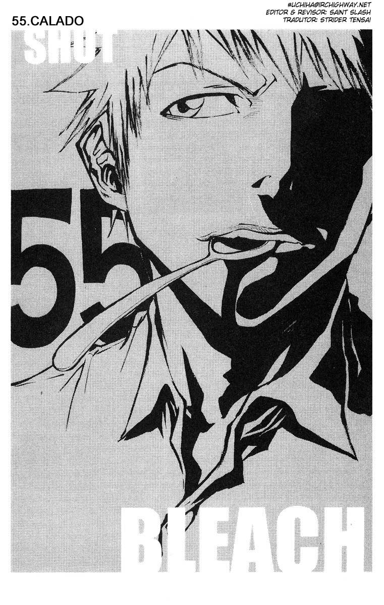 Bleach Capítulo 55 Página 3