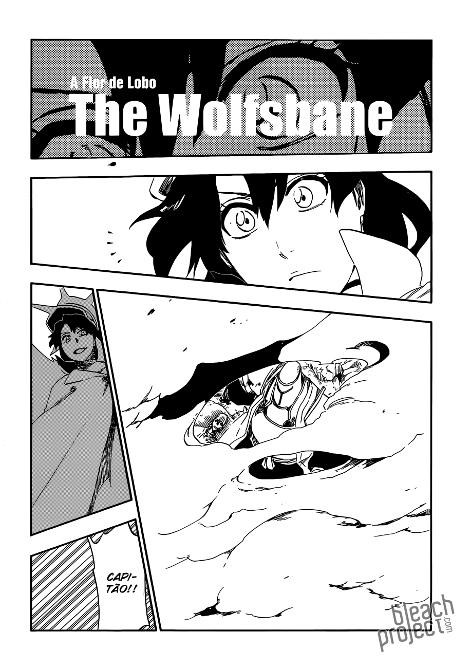 Bleach Capítulo 556 Página 5