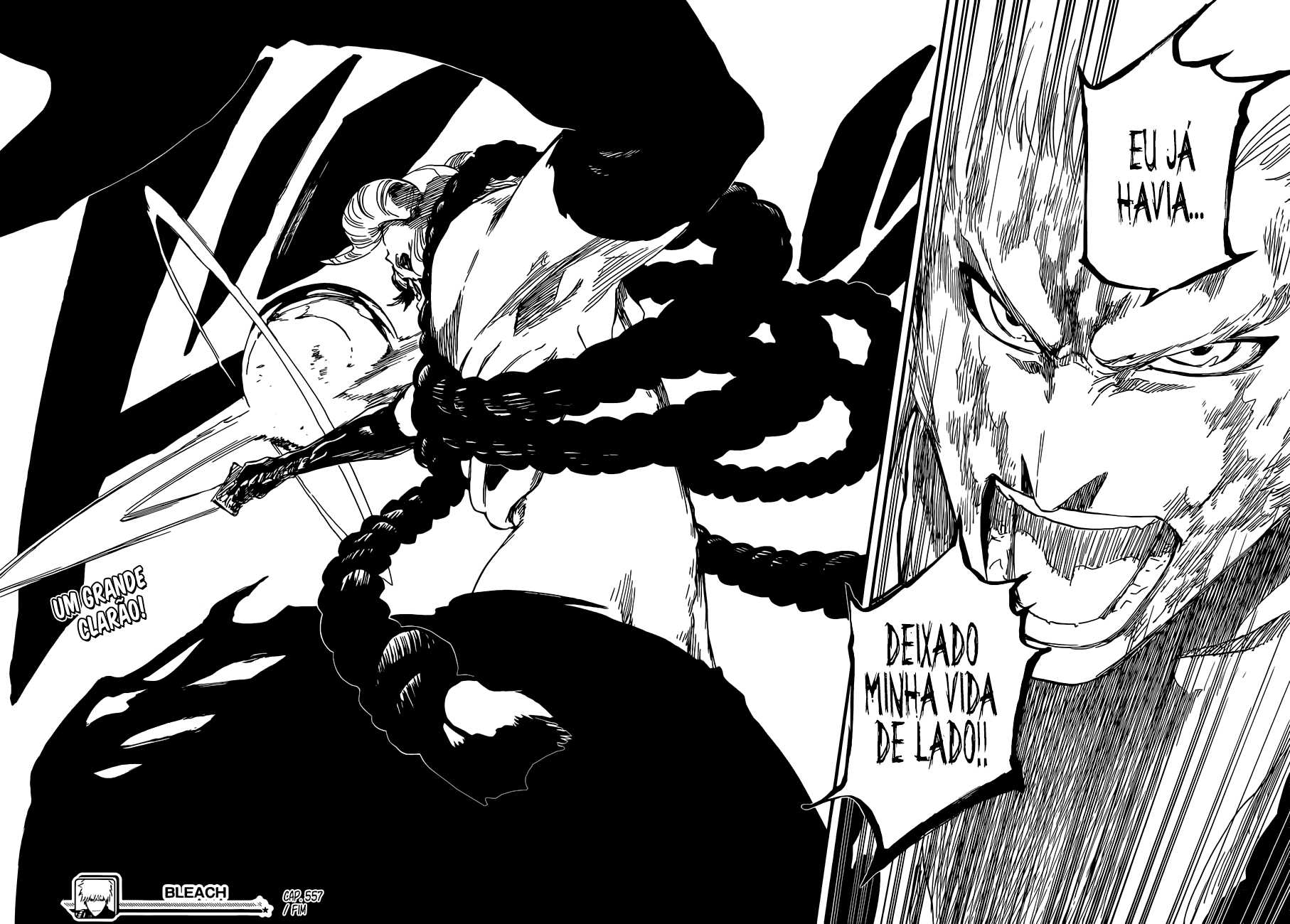 Bleach Capítulo 557 Página 16