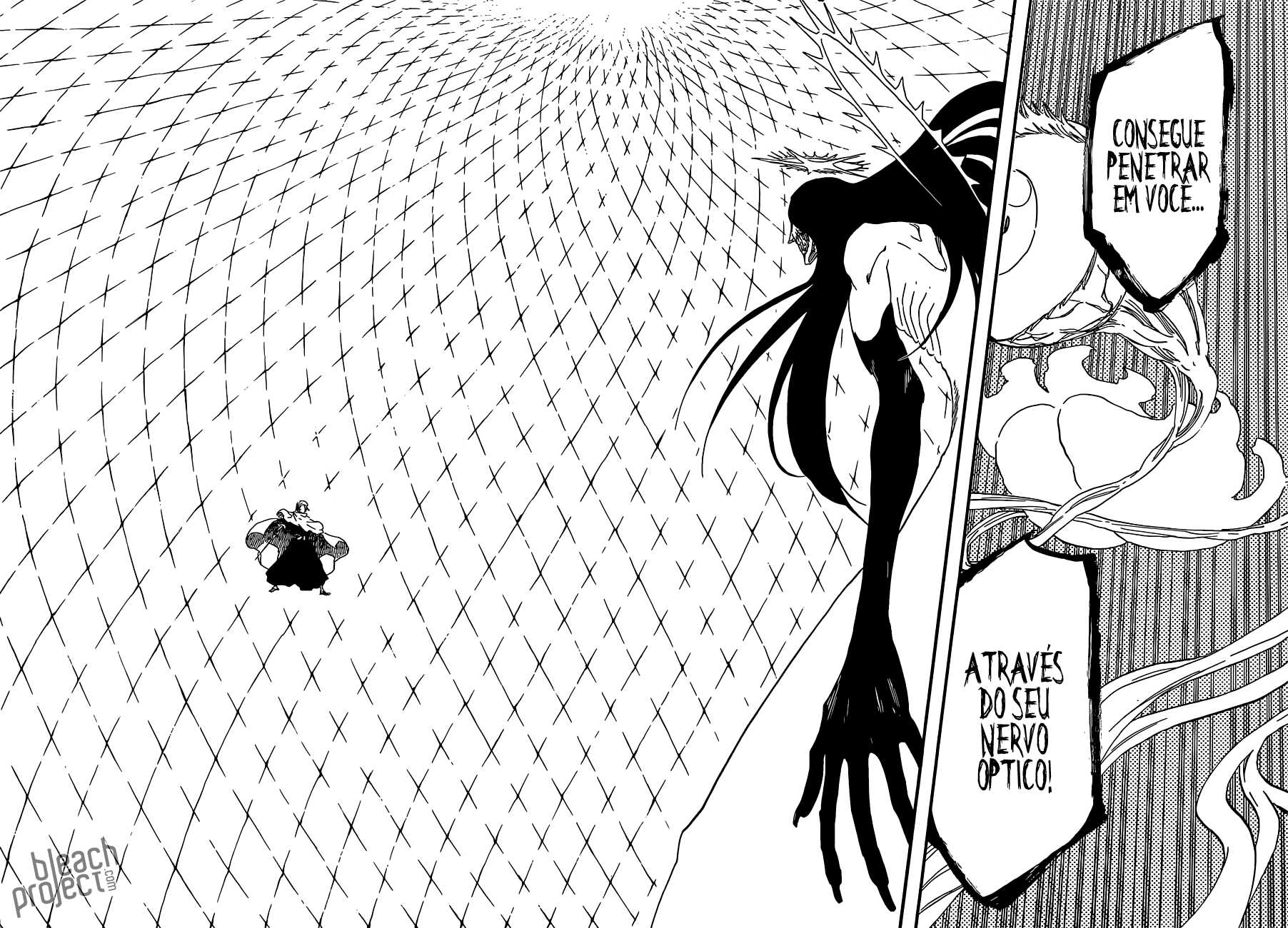 Bleach Capítulo 568 Página 13