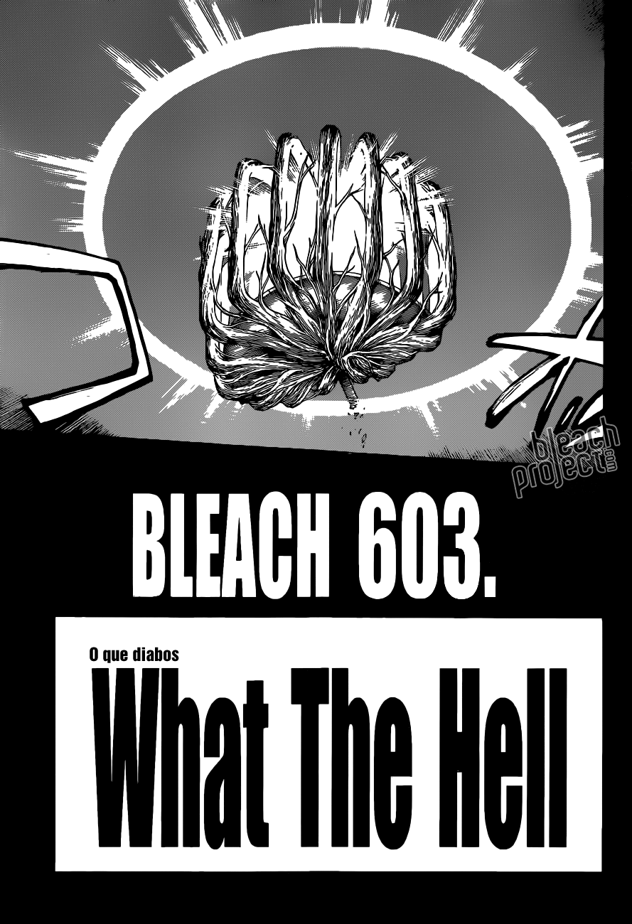 Bleach Capítulo 603 Página 4