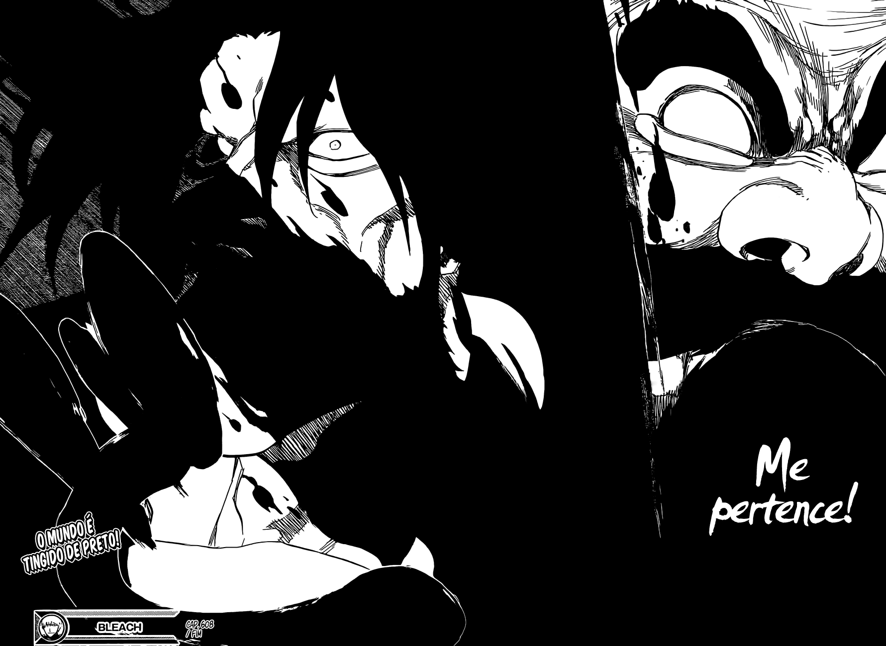 Bleach Capítulo 608 Página 17