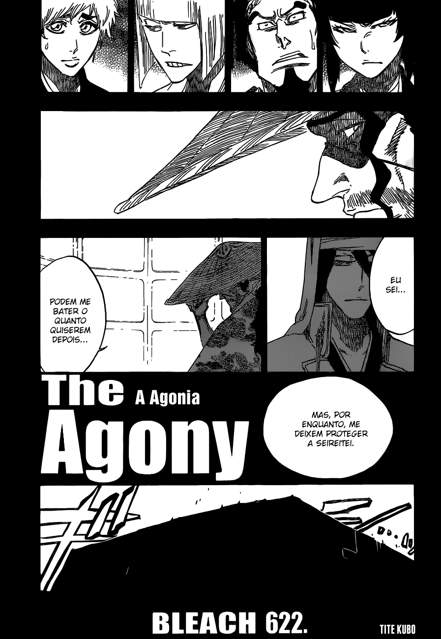 Bleach Capítulo 622 Página 13