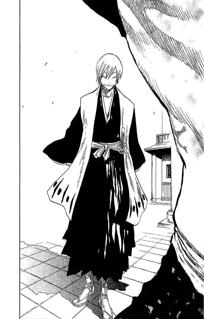 Bleach Capítulo 74 Página 16