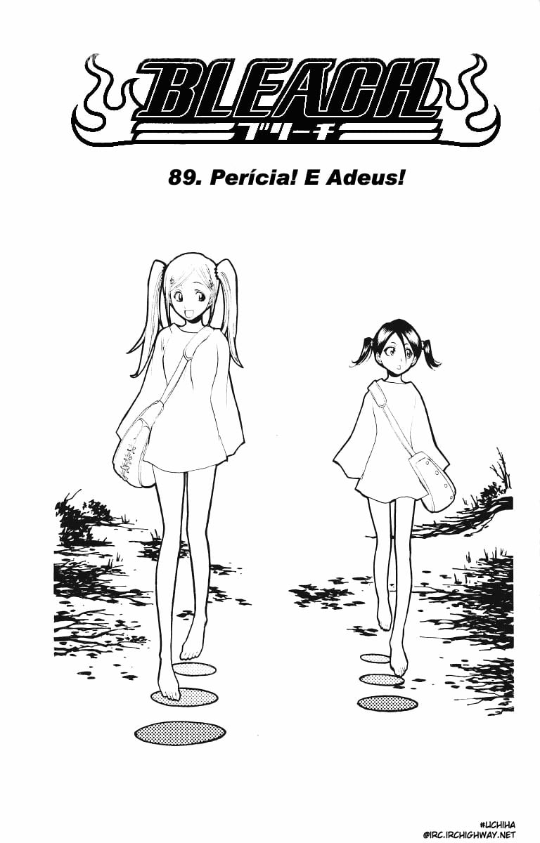 Bleach Capítulo 89 Página 11