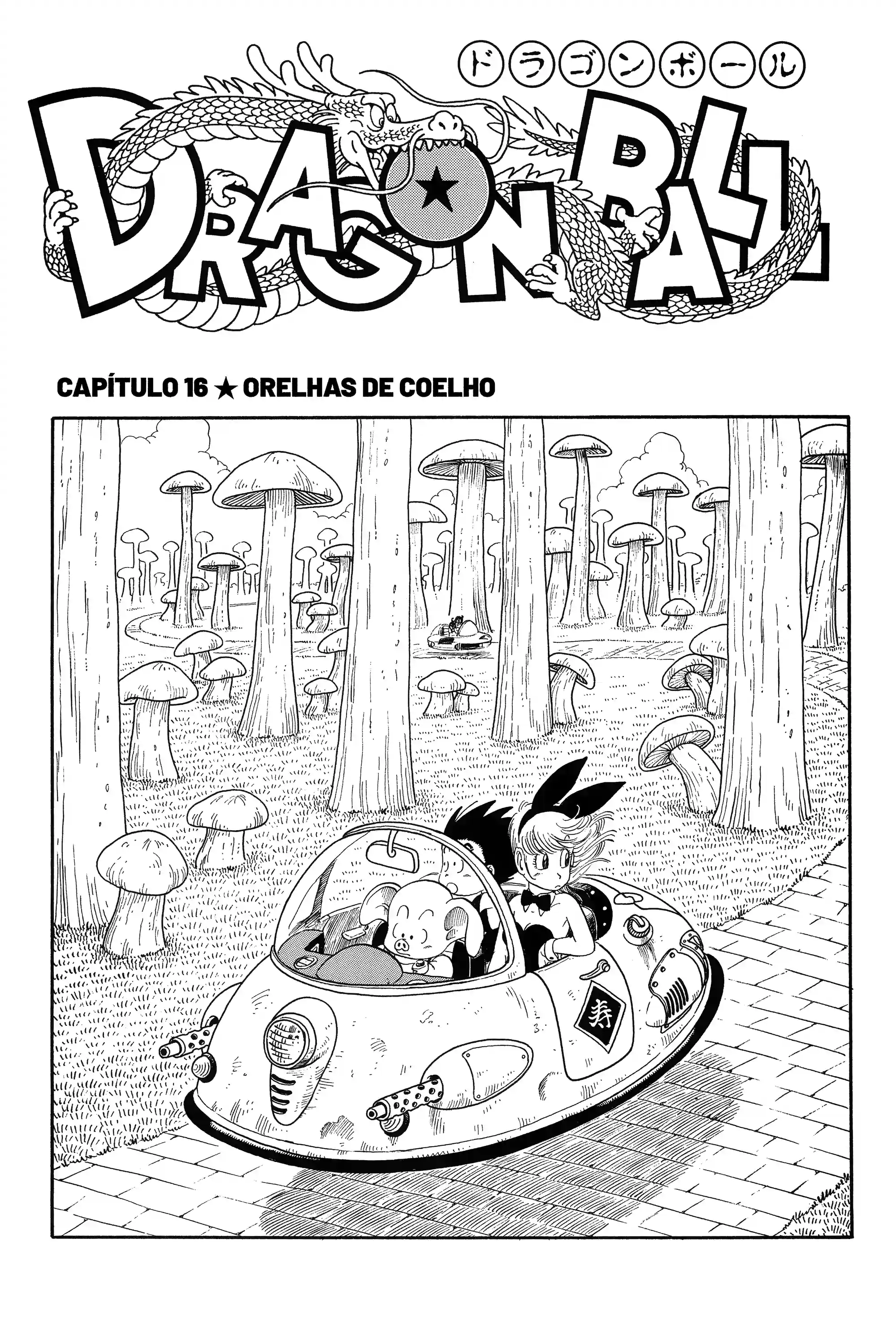 Bola de Dragão Capítulo 16 Página 1