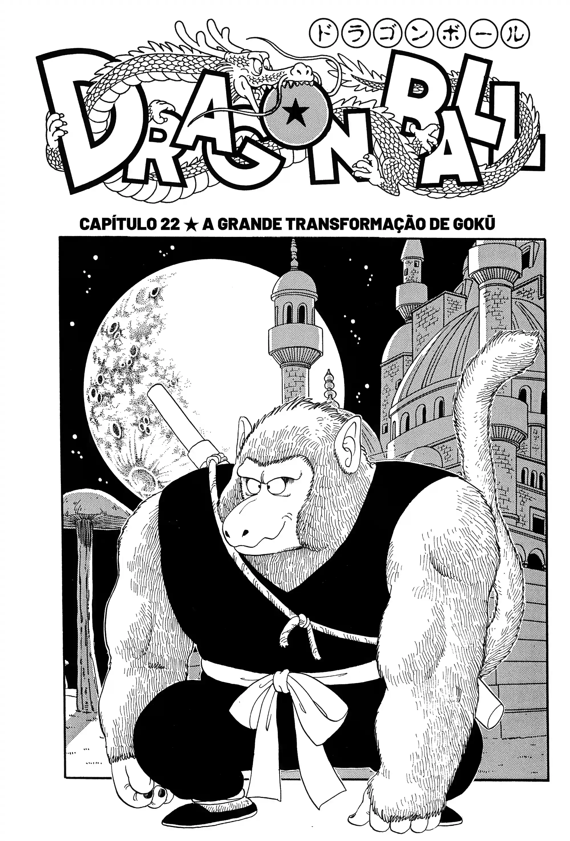 Bola de Dragão Capítulo 22 Página 1