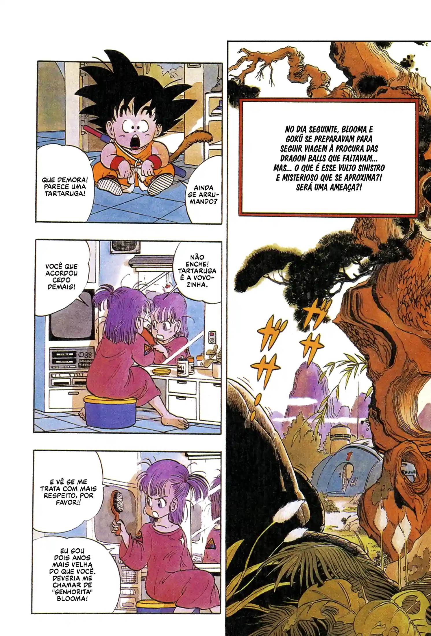 Bola de Dragão Capítulo 3 Página 2