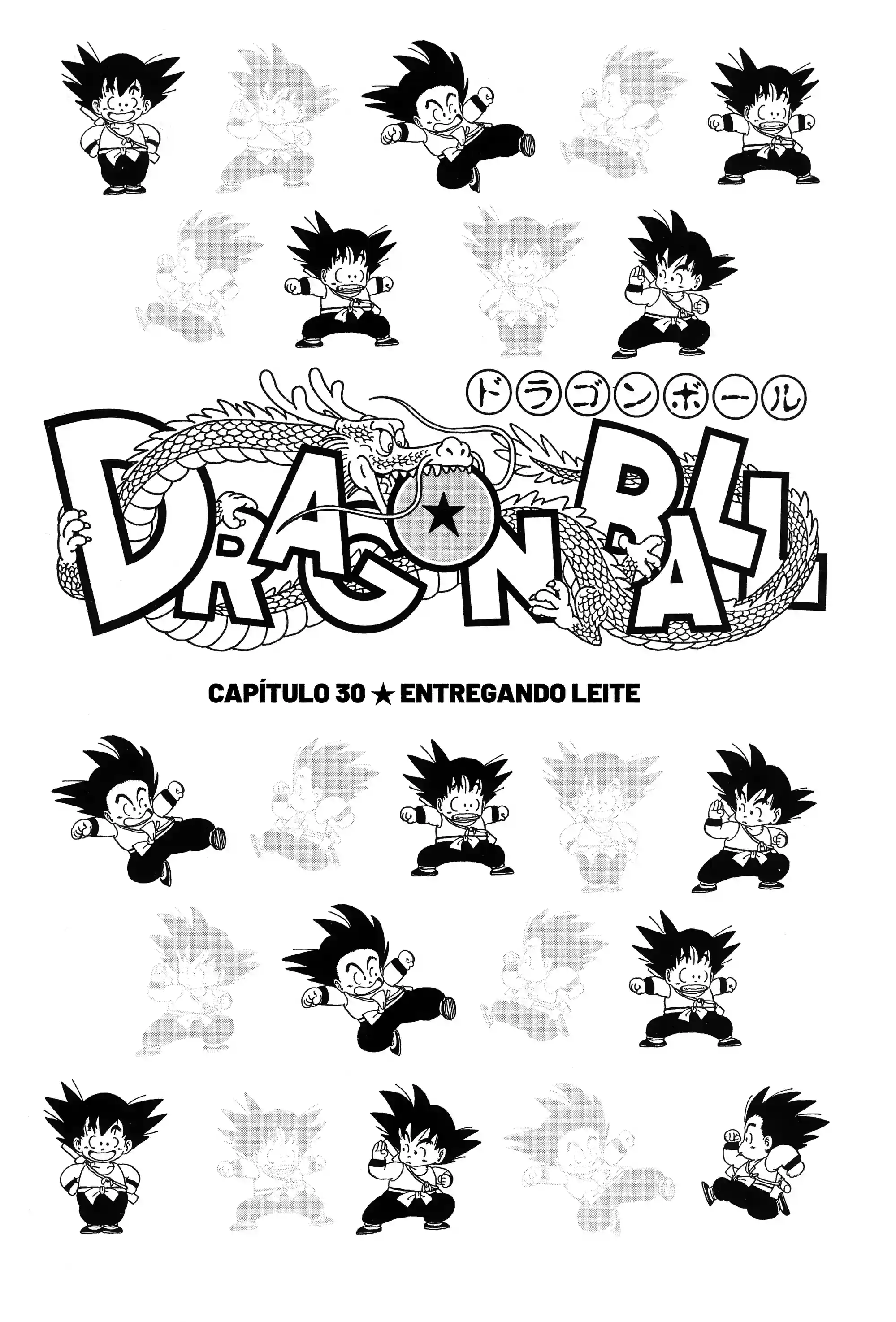 Bola de Dragão Capítulo 30 Página 1
