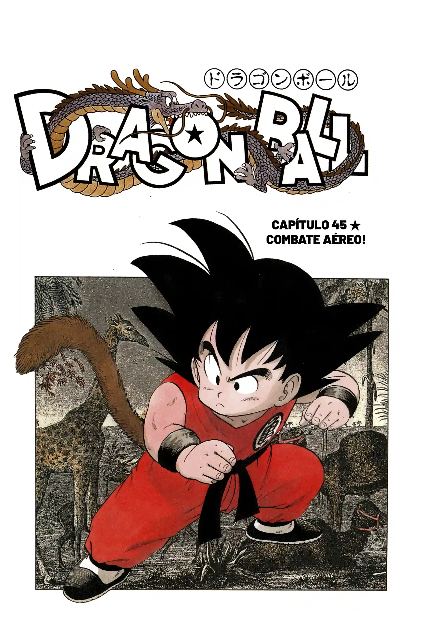 Bola de Dragão Capítulo 45 Página 1