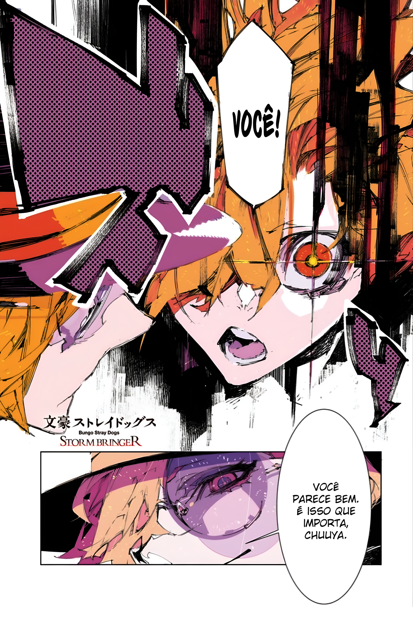 Bungou Stray Dogs: STORM BRINGER Capítulo 9 Página 3