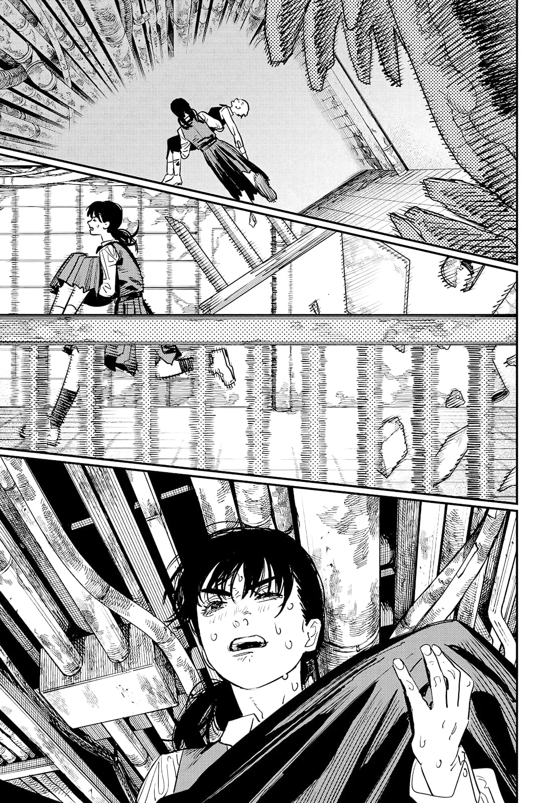 Chainsaw Man Capítulo 102 Página 12
